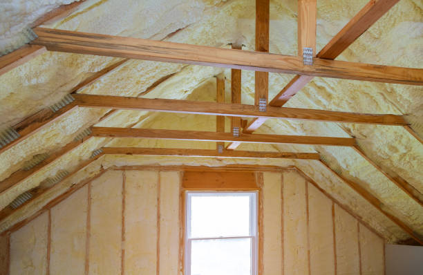Best Insulation Materials and Products in San Augustine, TX