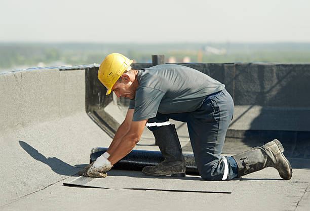 Best Commercial Insulation in San Augustine, TX